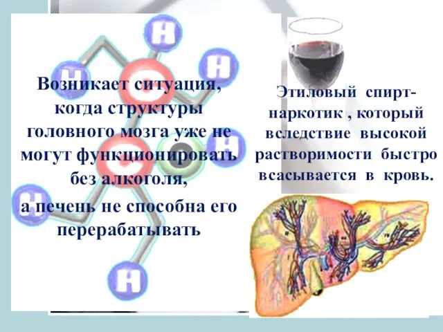 Возникает ситуация, когда структуры головного мозга уже не могут функционировать без алкоголя,