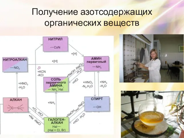 Получение азотсодержащих органических веществ