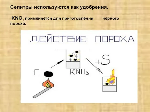 Селитры используются как удобрения. KNO3 применяется для приготовления черного пороха.