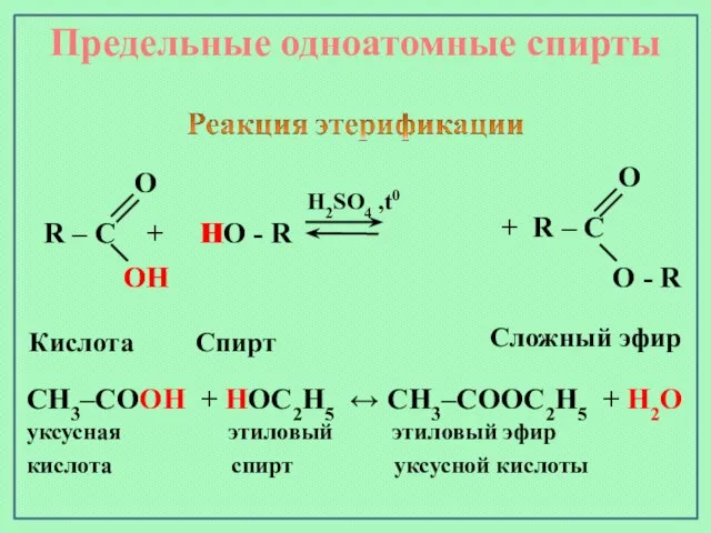 Предельные одноатомные cпирты R – C + HO - R H2SO4 ,t0