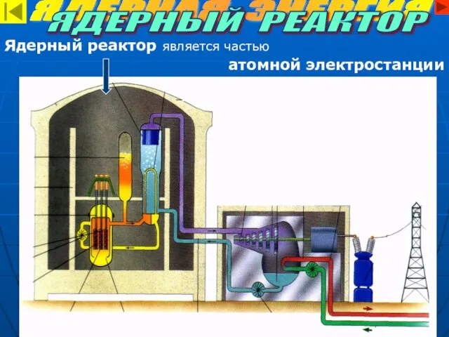 Ядерный реактор является частью атомной электростанции ЯДЕРНАЯ ЭНЕРГИЯ ЯДЕРНЫЙ РЕАКТОР