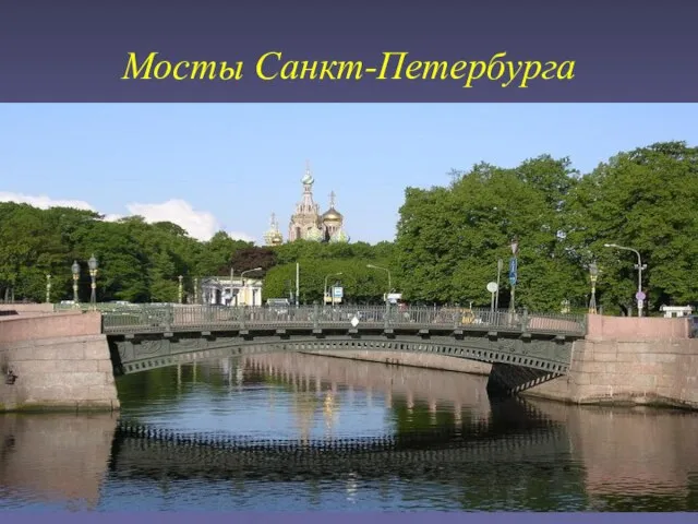 Мосты Санкт-Петербурга