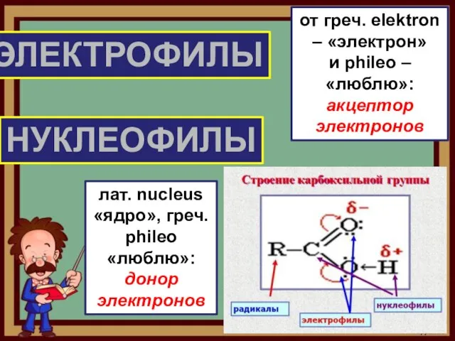 ЭЛЕКТРОФИЛЫ НУКЛЕОФИЛЫ от греч. elektron – «электрон» и phileo – «люблю»: акцептор