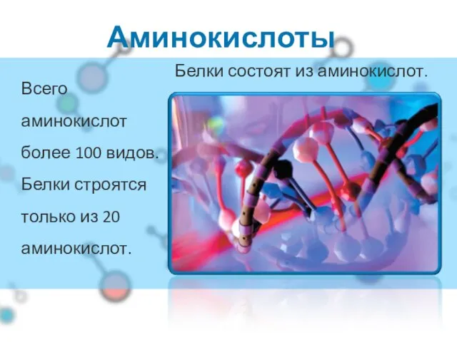 Аминокислоты Всего аминокислот более 100 видов. Белки строятся только из 20 аминокислот. Белки состоят из аминокислот.