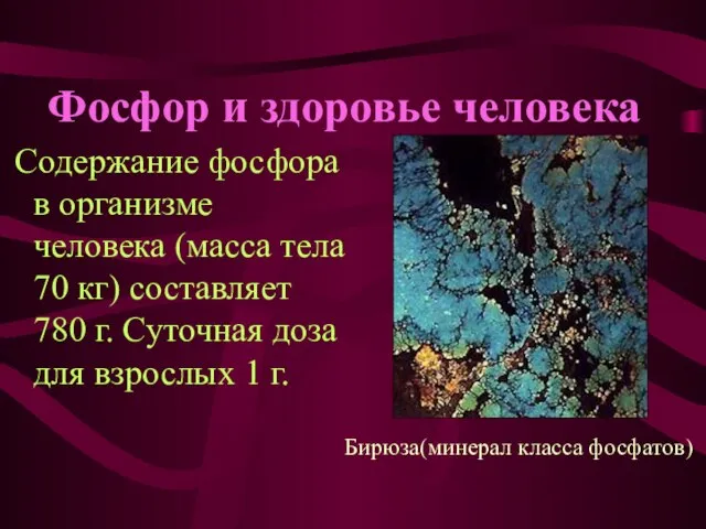 Фосфор и здоровье человека Содержание фосфора в организме человека (масса тела 70