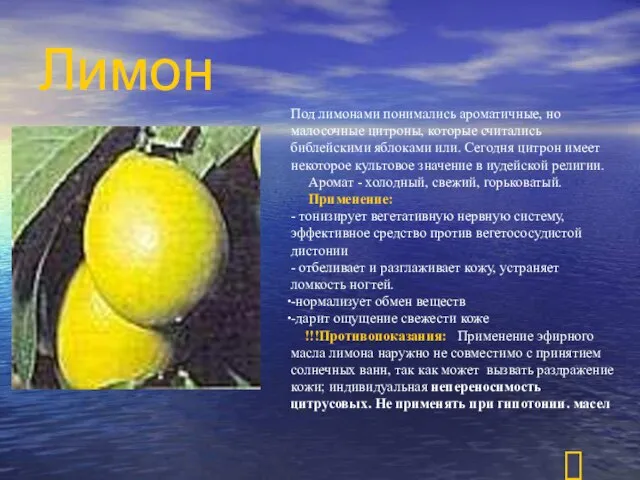 Под лимонами понимались ароматичные, но малосочные цитроны, которые считались библейскими яблоками или.