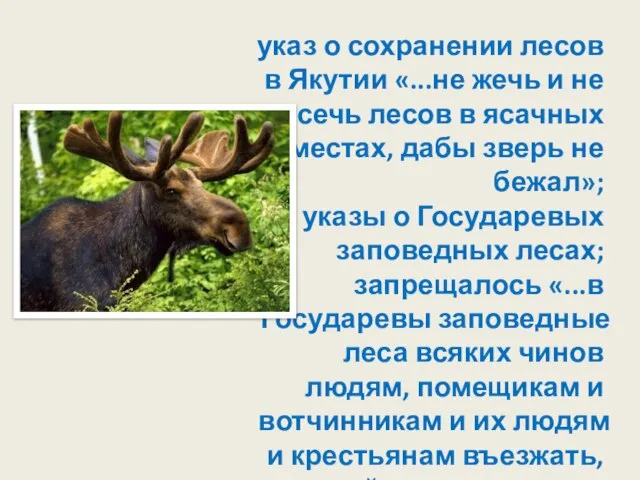 указ о сохранении лесов в Якутии «...не жечь и не сечь лесов