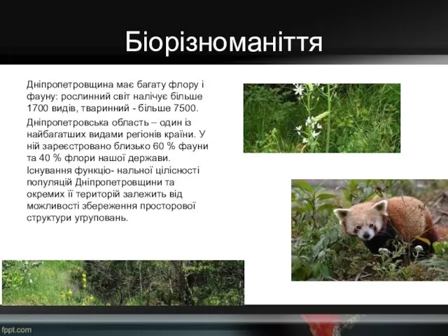 Біорізноманіття Дніпропетровщина має багату флору і фауну: рослинний світ налічує більше 1700