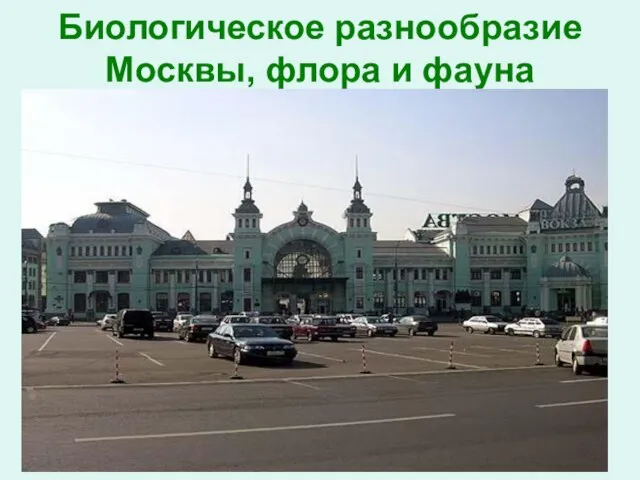 Биологическое разнообразие Москвы, флора и фауна