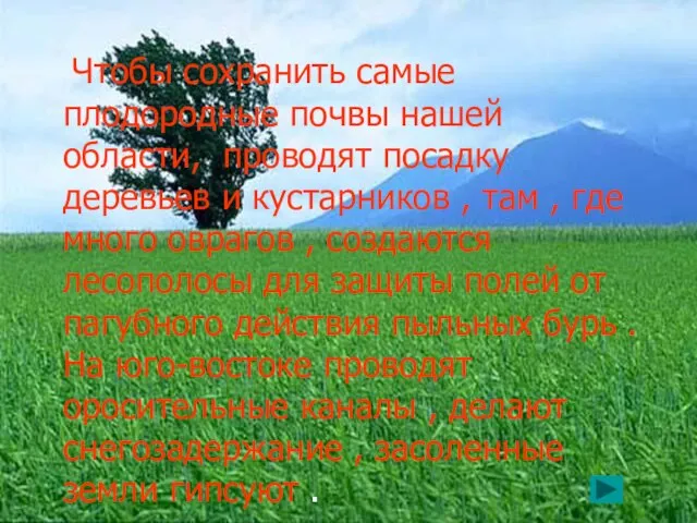 Чтобы сохранить самые плодородные почвы нашей области, проводят посадку деревьев и кустарников