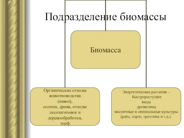 Подразделение биомассы