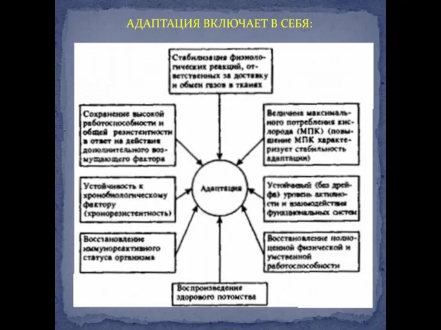 АДАПТАЦИЯ ВКЛЮЧАЕТ В СЕБЯ: