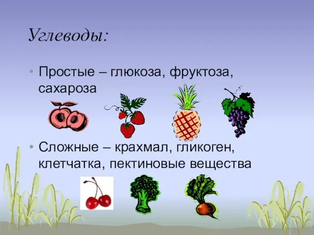 Углеводы: Простые – глюкоза, фруктоза, сахароза Сложные – крахмал, гликоген, клетчатка, пектиновые вещества