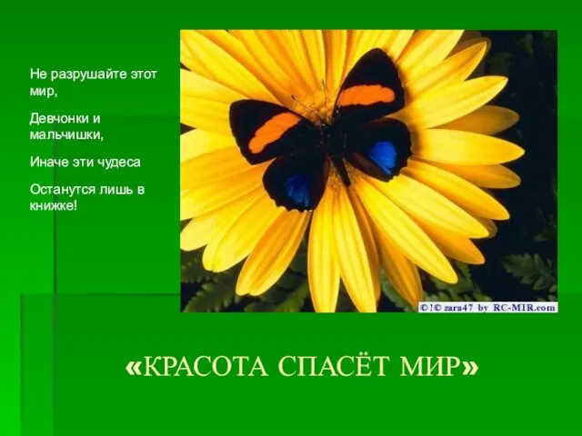 «КРАСОТА СПАСЁТ МИР» Не разрушайте этот мир, Девчонки и мальчишки, Иначе эти