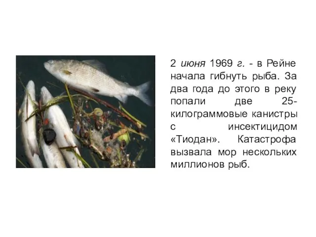 2 июня 1969 г. - в Рейне начала гибнуть рыба. За два