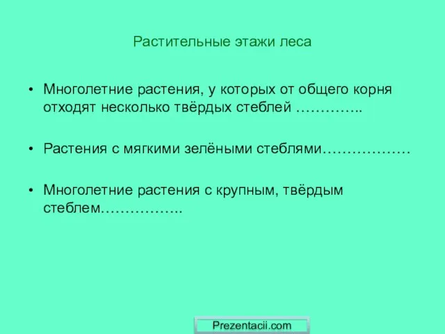 Растительные этажи леса Многолетние растения, у которых от общего корня отходят несколько