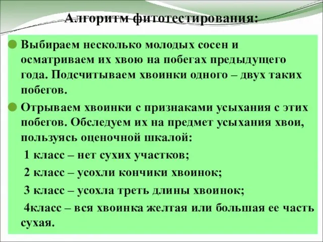 Алгоритм фитотестирования: Выбираем несколько молодых сосен и осматриваем их хвою на побегах