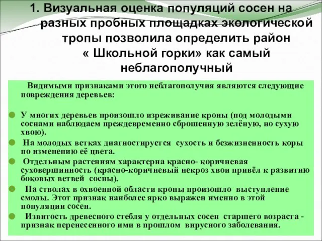 1. Визуальная оценка популяций сосен на разных пробных площадках экологической тропы позволила