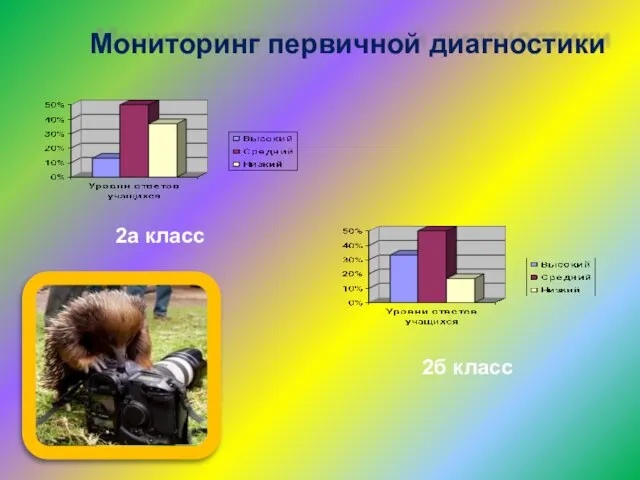 Мониторинг первичной диагностики 2а класс 2б класс