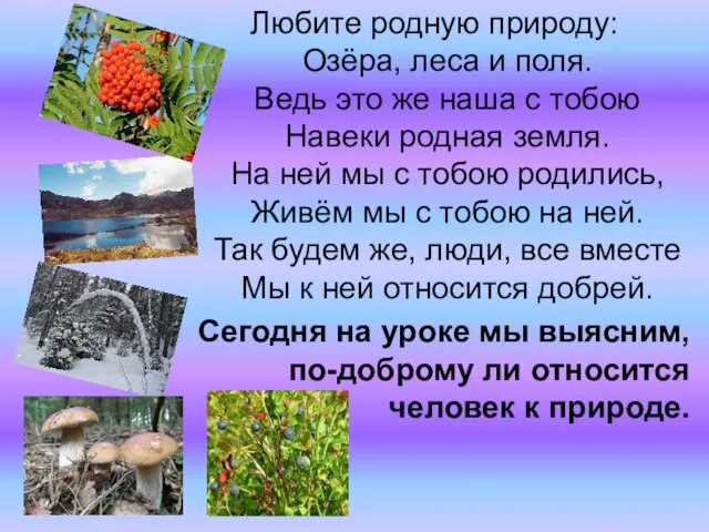 Любите родную природу: Озёра, леса и поля. Ведь это же наша с