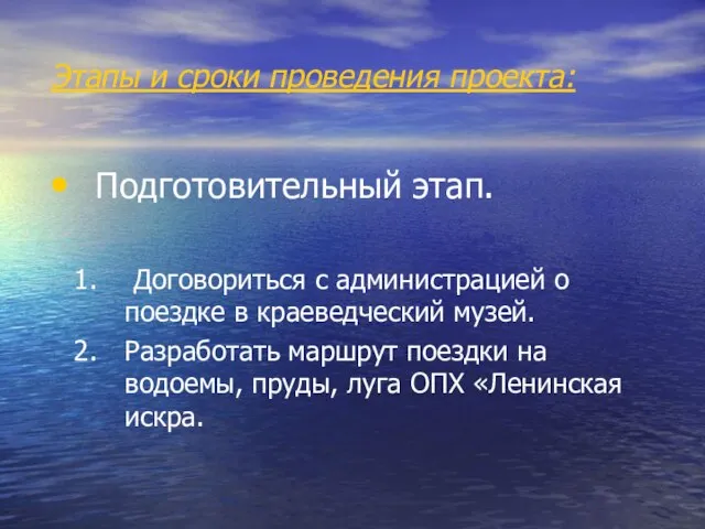 Этапы и сроки проведения проекта: Подготовительный этап. Договориться с администрацией о поездке