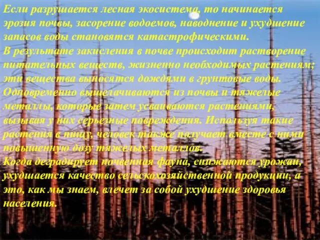 Если разрушается лесная экосистема, то начинается эрозия почвы, засорение водоемов, наводнение и