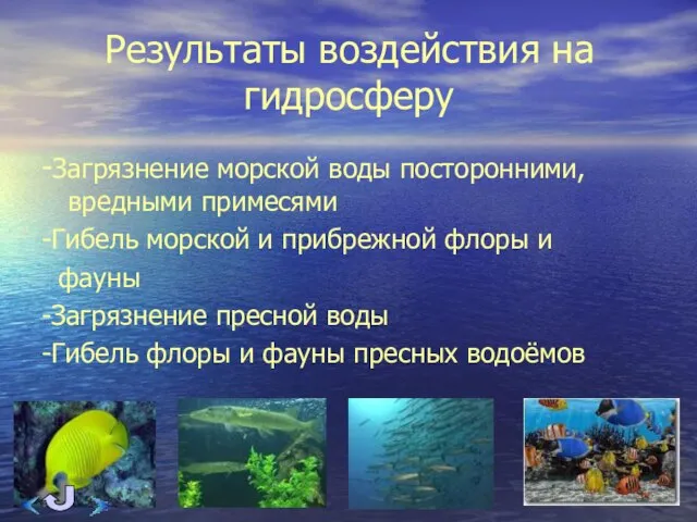 Результаты воздействия на гидросферу -Загрязнение морской воды посторонними, вредными примесями -Гибель морской