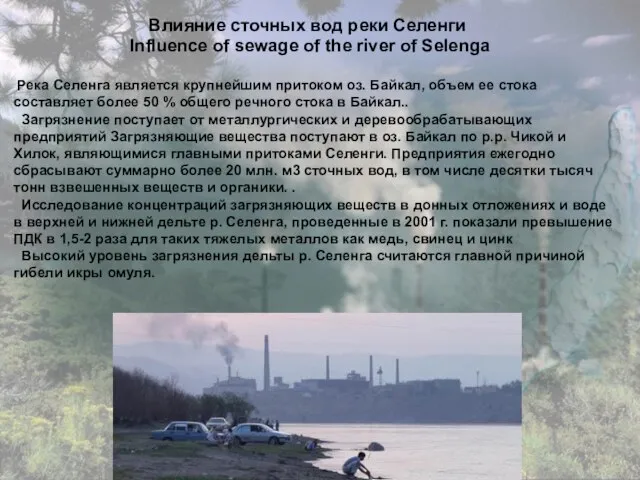 Влияние сточных вод реки Селенги Influence of sewage of the river of