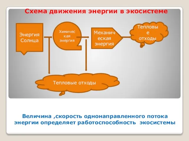 Величина ,скорость однонаправленного потока энергии определяет работоспособность экосистемы Схема движения энергии в