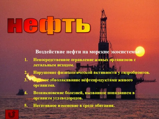 нефть Воздействие нефти на морские экосистемы: Непосредственное отравление живых организмов с летальным