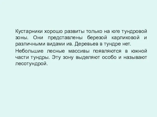 Кустарники хорошо развиты только на юге тундровой зоны. Они представлены березой карликовой