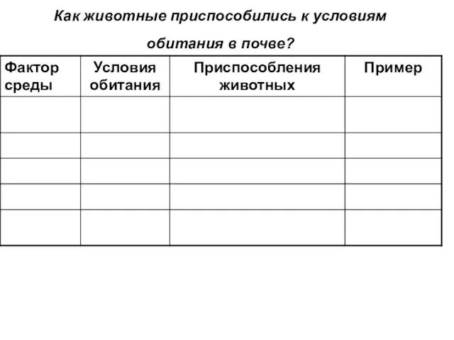 Как животные приспособились к условиям обитания в почве?