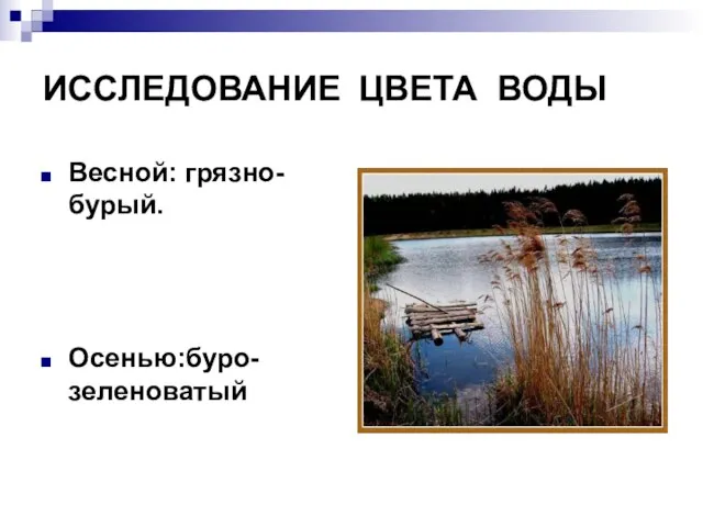 ИССЛЕДОВАНИЕ ЦВЕТА ВОДЫ Весной: грязно- бурый. Осенью:буро-зеленоватый