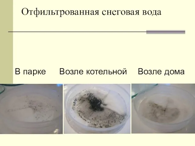 Отфильтрованная снеговая вода В парке Возле котельной Возле дома