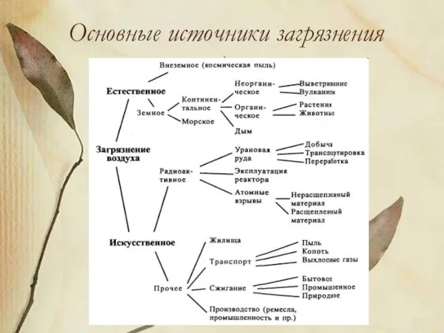 Основные источники загрязнения воздуха