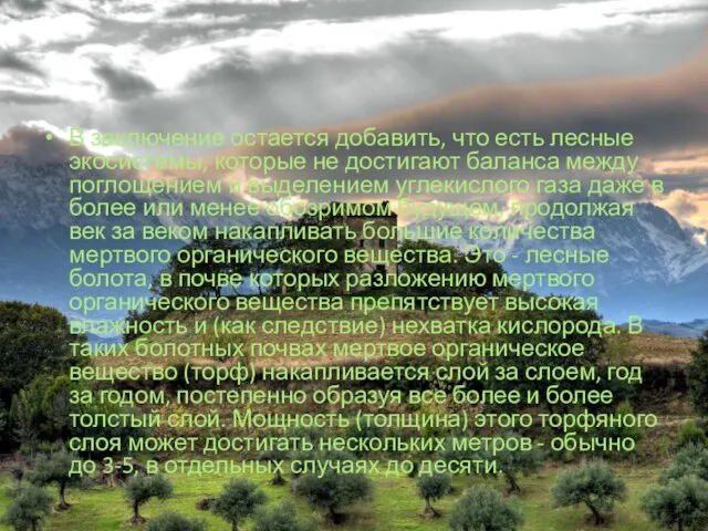 В заключение остается добавить, что есть лесные экосистемы, которые не достигают баланса