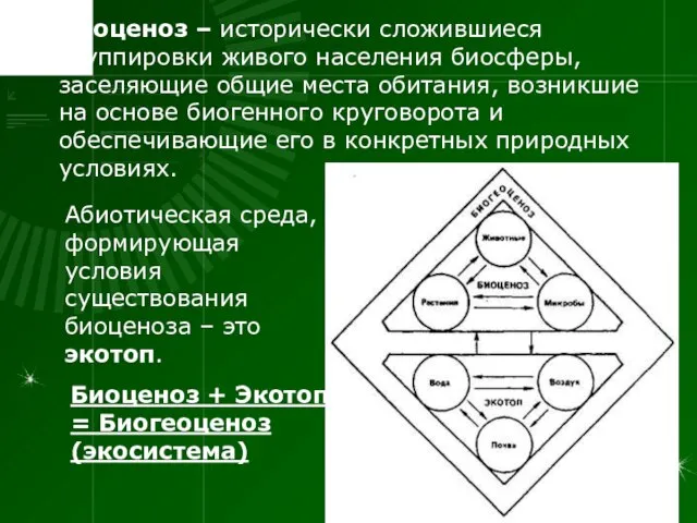 Биоценоз – исторически сложившиеся группировки живого населения биосферы, заселяющие общие места обитания,