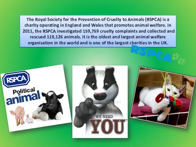 The Royal Society for the Prevention of Cruelty to Animals (RSPCA) is