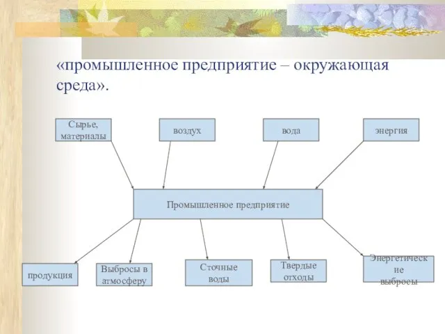 «промышленное предприятие – окружающая среда».