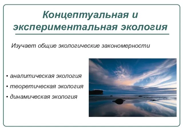 Концептуальная и экспериментальная экология Изучает общие экологические закономерности аналитическая экология теоретическая экология динамическая экология