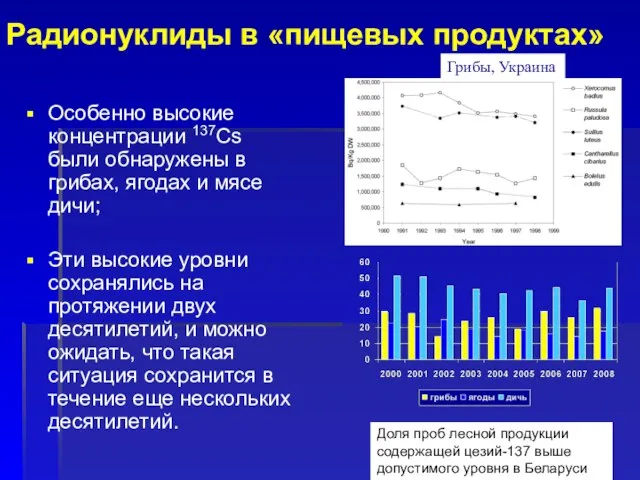 Радионуклиды в «пищевых продуктах» Особенно высокие концентрации 137Cs были обнаружены в грибах,