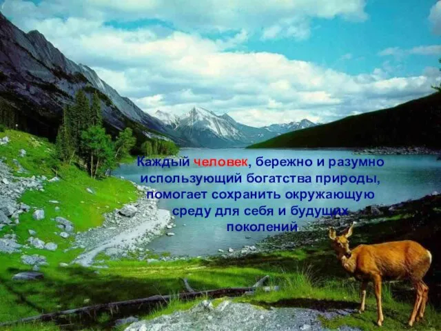 Каждый человек, бережно и разумно использующий богатства природы, помогает сохранить окружающую среду