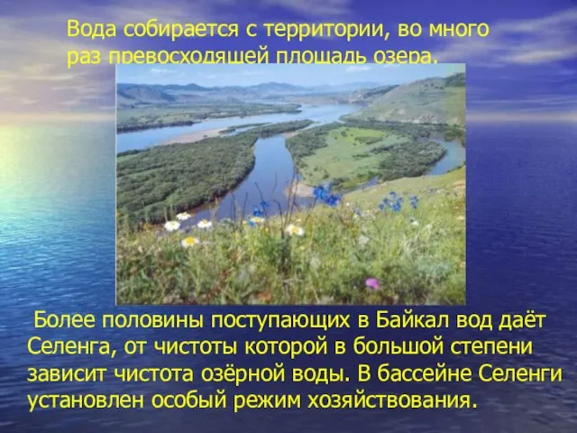 Вода собирается с территории, во много раз превосходящей площадь озера. Более половины