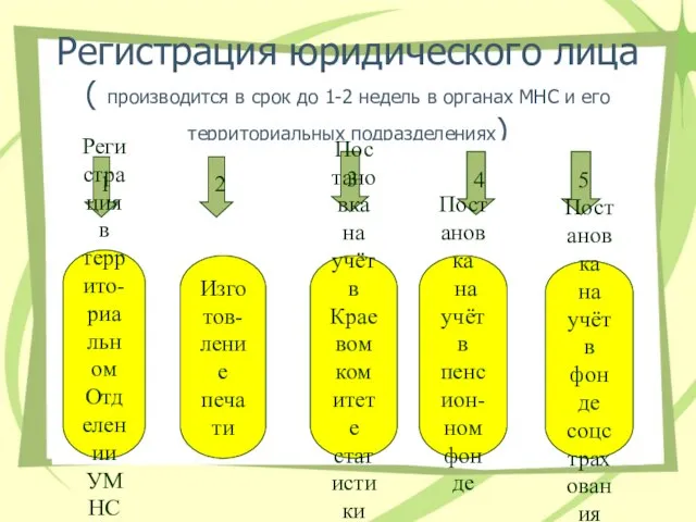 Регистрация юридического лица ( производится в срок до 1-2 недель в органах