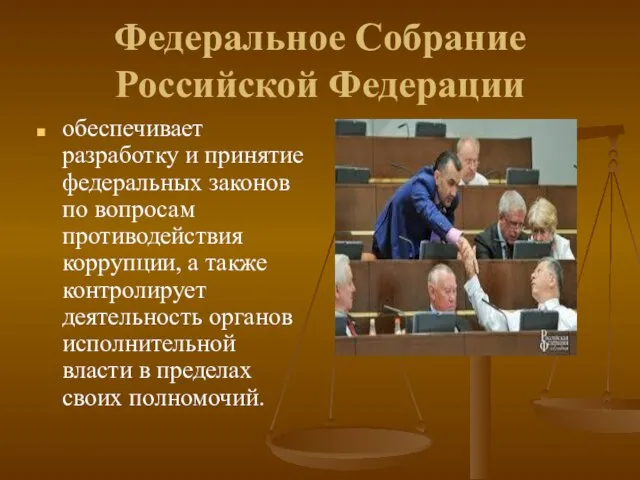 Федеральное Собрание Российской Федерации обеспечивает разработку и принятие федеральных законов по вопросам