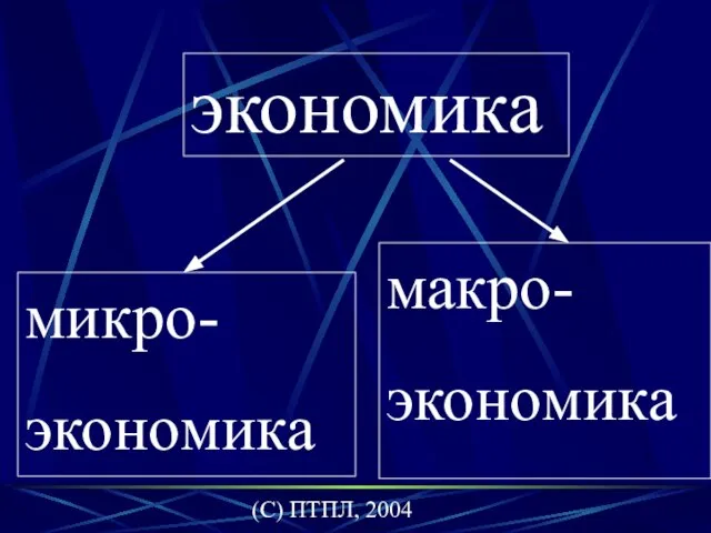 (C) ПТПЛ, 2004 экономика микро- экономика макро- экономика