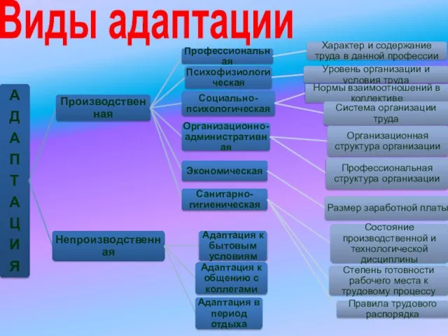 Виды адаптации