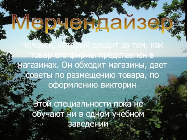 Человек, который следит за тем, как товар его фирмы представлен в магазинах.