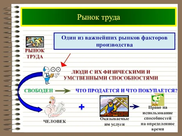 Рынок труда Один из важнейших рынков факторов производства