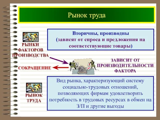 Рынок труда РЫНКИ ФАКТОРОВ ПРОИЗВОДСТВА Вторичны, производны (зависят от спроса и предложения на соответствующие товары)